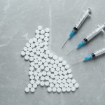 Linguistic Review Process Product Information Centralised Procedure Veterinary Medicinal Products EU